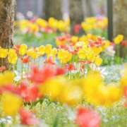 ヒメ日記 2026/04/20 10:48 投稿 まりか 素人妻達☆マイふぇらレディー