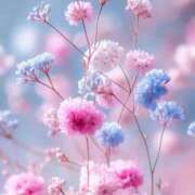 ヒメ日記 2026/04/23 11:28 投稿 まりか 素人妻達☆マイふぇらレディー