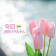 ヒメ日記 2026/04/28 04:38 投稿 まりか 素人妻達☆マイふぇらレディー