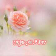 ヒメ日記 2026/04/28 19:52 投稿 まりか 素人妻達☆マイふぇらレディー