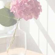 ヒメ日記 2026/05/26 12:50 投稿 まりか 素人妻達☆マイふぇらレディー