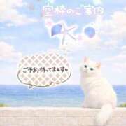 ヒメ日記 2026/06/17 06:45 投稿 まりか 素人妻達☆マイふぇらレディー