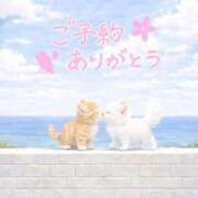 ヒメ日記 2026/06/17 17:48 投稿 まりか 素人妻達☆マイふぇらレディー
