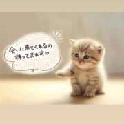 ヒメ日記 2026/07/02 21:08 投稿 まりか 素人妻達☆マイふぇらレディー