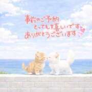 ヒメ日記 2026/07/03 12:08 投稿 まりか 素人妻達☆マイふぇらレディー