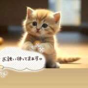 ヒメ日記 2026/07/07 22:18 投稿 まりか 素人妻達☆マイふぇらレディー