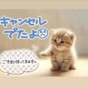 ヒメ日記 2026/07/16 06:28 投稿 まりか 素人妻達☆マイふぇらレディー