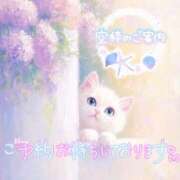 ヒメ日記 2026/07/18 21:08 投稿 まりか 素人妻達☆マイふぇらレディー