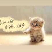 まりか 金曜日空き枠があります❣️ 素人妻達☆マイふぇらレディー