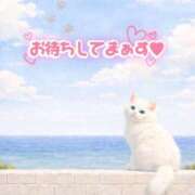 ヒメ日記 2026/09/01 22:18 投稿 まりか 素人妻達☆マイふぇらレディー