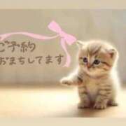 ヒメ日記 2026/09/02 06:48 投稿 まりか 素人妻達☆マイふぇらレディー