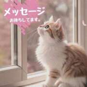 ヒメ日記 2026/09/17 07:10 投稿 まりか 素人妻達☆マイふぇらレディー