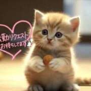 ヒメ日記 2026/09/21 22:18 投稿 まりか 素人妻達☆マイふぇらレディー