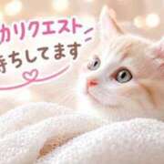 ヒメ日記 2026/09/24 22:28 投稿 まりか 素人妻達☆マイふぇらレディー