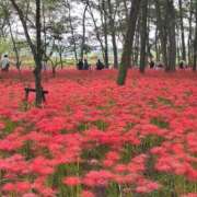 ヒメ日記 2026/10/01 08:18 投稿 まりか 素人妻達☆マイふぇらレディー