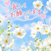 ヒメ日記 2026/10/10 08:48 投稿 まりか 素人妻達☆マイふぇらレディー