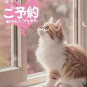 ヒメ日記 2026/10/11 07:38 投稿 まりか 素人妻達☆マイふぇらレディー