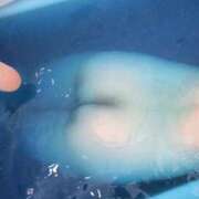 ヒメ日記 2025/04/04 23:43 投稿 ♡マリカ MEGA PALACE(メガパレス）