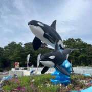 ヒメ日記 2026/08/31 12:43 投稿 ♡マリカ MEGA PALACE(メガパレス）
