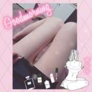 ヒメ日記 2024/12/08 11:49 投稿 しおん TALENT（タレント）