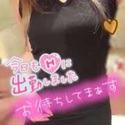 ヒメ日記 2025/06/05 16:10 投稿 しおん TALENT（タレント）