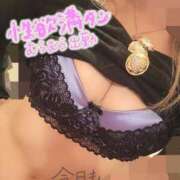 ヒメ日記 2025/08/17 12:05 投稿 しおん TALENT（タレント）