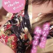 ヒメ日記 2025/11/03 11:55 投稿 しおん TALENT（タレント）