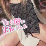 ヒメ日記 2025/11/29 09:40 投稿 しおん TALENT（タレント）