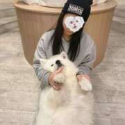 ヒメ日記 2025/06/21 19:05 投稿 椎名 りく club eyes