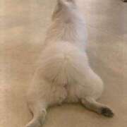 ヒメ日記 2025/06/28 08:59 投稿 椎名 りく club eyes