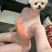 ヒメ日記 2025/10/01 18:33 投稿 椎名 りく club eyes