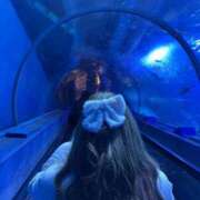 ヒメ日記 2024/12/26 21:09 投稿 まこ 桃色クリスタル