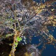 ヒメ日記 2025/04/15 07:45 投稿 ねおん 熟女家 東大阪店（布施・長田）