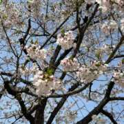 ヒメ日記 2025/04/17 22:25 投稿 ねおん 熟女家 東大阪店（布施・長田）