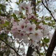 ヒメ日記 2025/05/01 01:25 投稿 ねおん 熟女家 東大阪店（布施・長田）