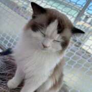 ヒメ日記 2025/11/27 20:55 投稿 ねおん 熟女家 東大阪店（布施・長田）