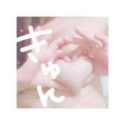 ヒメ日記 2025/11/18 06:35 投稿 すみれ FAIRY Fukuoka Nakasu