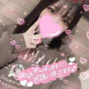 ヒメ日記 2025/12/10 08:00 投稿 すみれ FAIRY Fukuoka Nakasu
