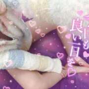 ヒメ日記 2026/05/15 07:13 投稿 すみれ FAIRY Fukuoka Nakasu