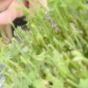 ヒメ日記 2026/03/26 18:49 投稿 ゆり 宇都宮 Playlist