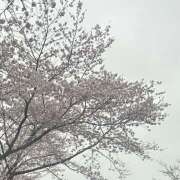 ヒメ日記 2026/04/13 18:54 投稿 ゆり 宇都宮 Playlist