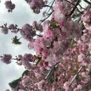 ヒメ日記 2026/04/17 00:10 投稿 ゆり 宇都宮 Playlist