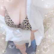 ヒメ日記 2025/05/03 09:47 投稿 あずさ 愛媛松山ちゃんこ