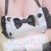 ヒメ日記 2025/11/19 09:19 投稿 あずさ 愛媛松山ちゃんこ