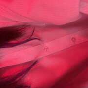 ヒメ日記 2025/03/01 16:09 投稿 まや banana