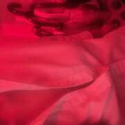 ヒメ日記 2025/07/31 18:32 投稿 まや banana