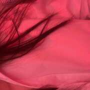 ヒメ日記 2025/08/11 17:14 投稿 まや banana