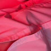 ヒメ日記 2025/11/01 17:08 投稿 まや banana