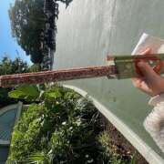 ヒメ日記 2025/12/03 22:55 投稿 まや banana