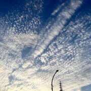 ヒメ日記 2025/09/26 17:54 投稿 こなつ 千姫(道後)